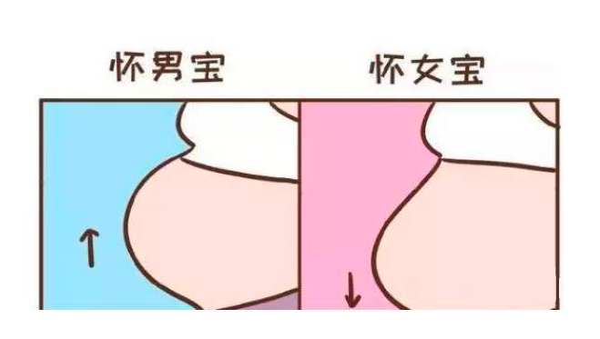 孕妈"上怀"与"下怀"有啥区别?
