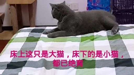 v2-72f4a3e35adfc9c13f2042e19febe010_bh.jpg?source=1940ef5c