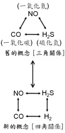 一氧化氮和氧气反应图片