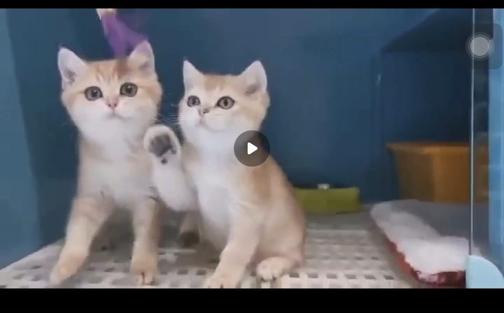 v2-736b270bd38726002f9ad52ad6954e52_bh.jpg?source=1940ef5c