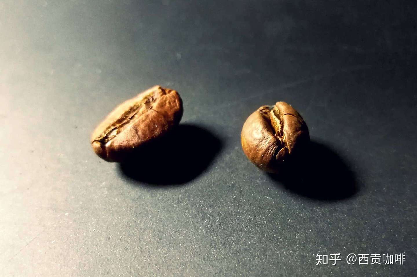 平豆和圆豆 咖啡豆还有这种称呼 知乎