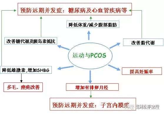 多囊想怀孕 4个办法不要错过 知乎
