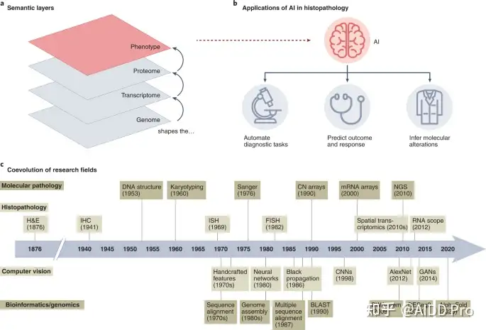 Nature综述：AI在肿瘤组织病理学中的应用- 知乎