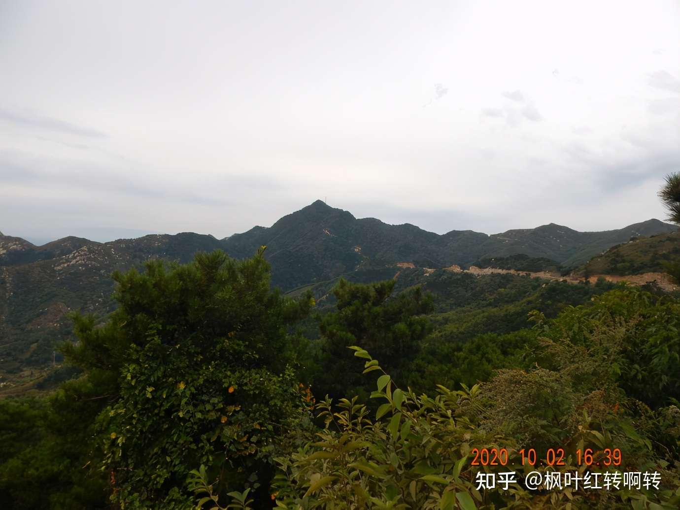 春暖花开为你而来 济南香山春天也很美 知乎