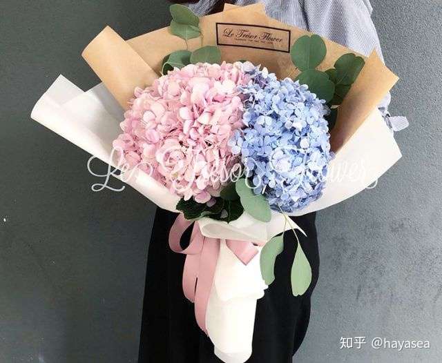 花记 让绣球陪你度过无尽的夏日吧 知乎