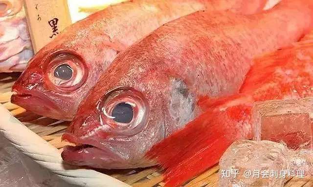 据说这是日本的三大名鱼 你吃过吗 知乎