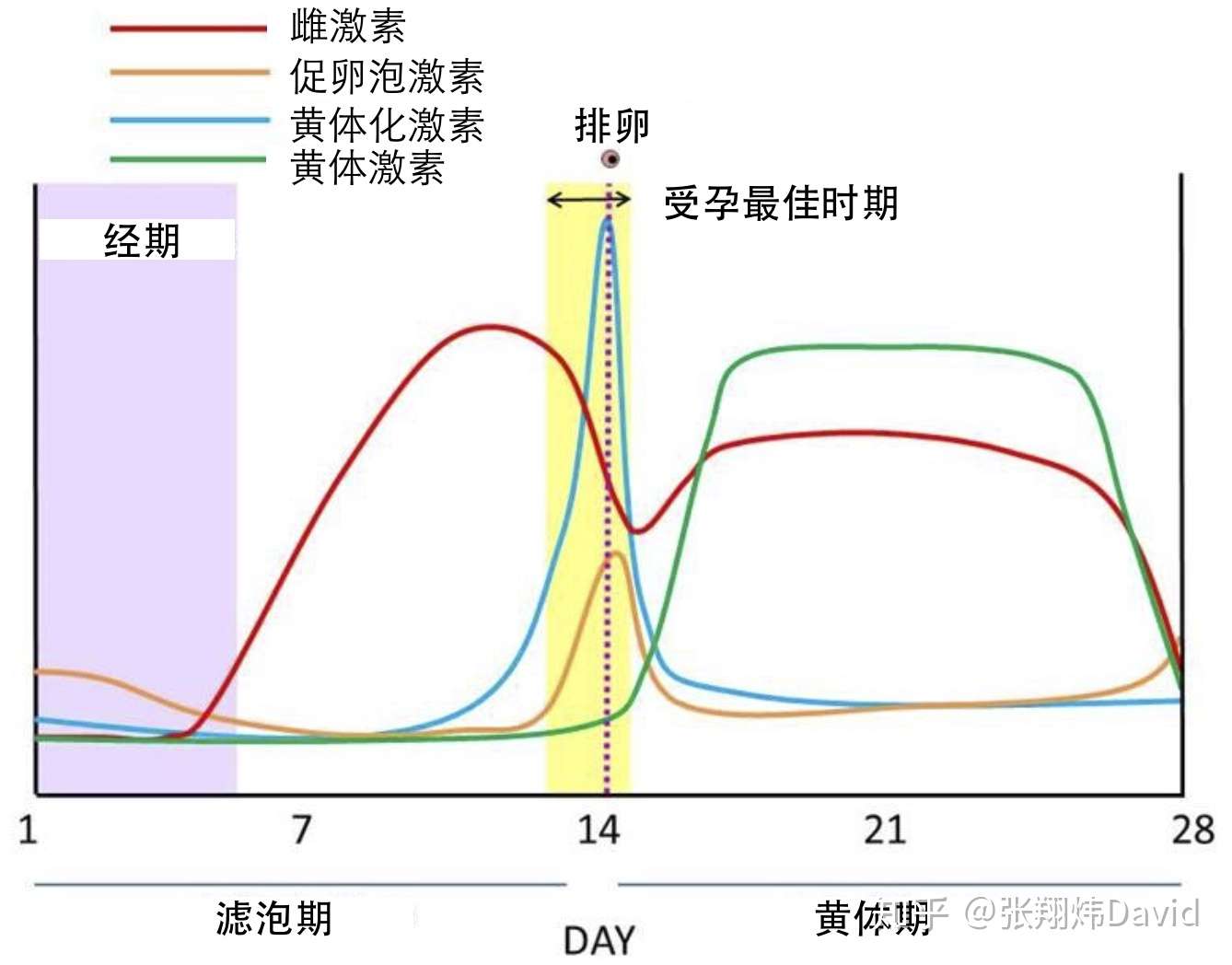 生理期如何运动更科学 知乎