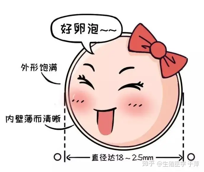 上海助孕（青岛助孕专家于萍：月经正常却总怀不上？原来很多不孕问题是因为它！）