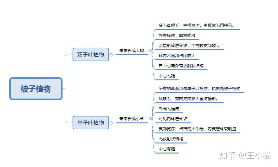 植物大分类 知乎