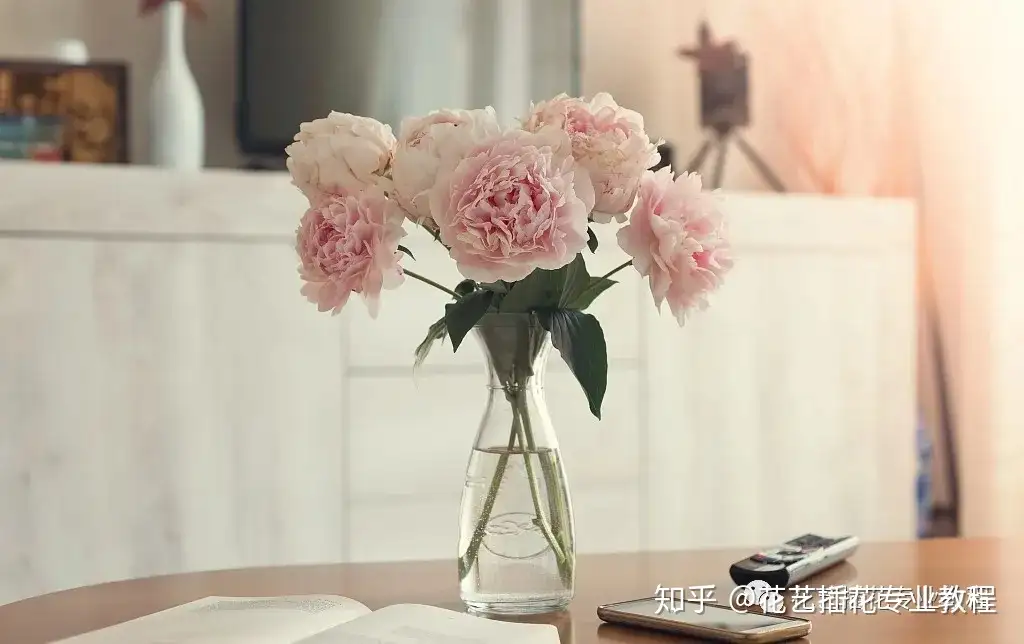 花材养护 5招让你的芍药花 更持久绽放 知乎 花材养护 5招让你的芍药花 更持久绽放 知乎