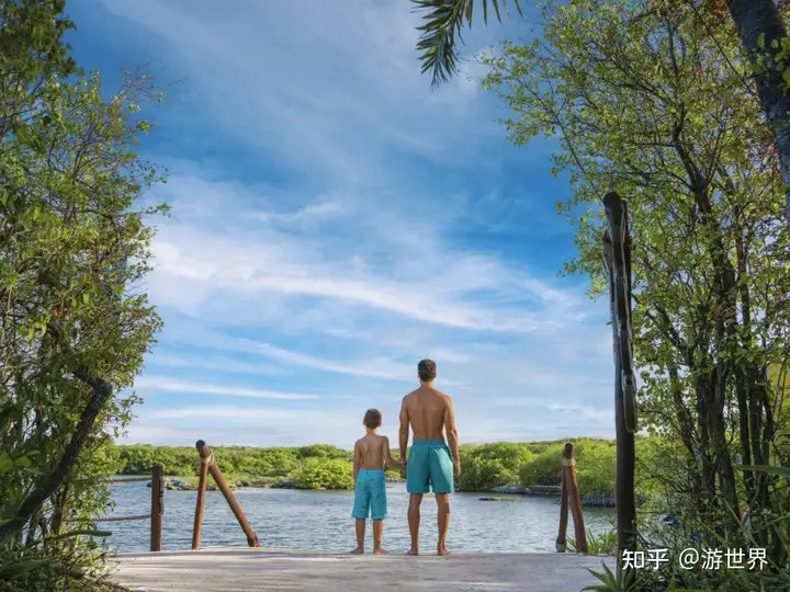 墨西哥谢哈天然水上乐园亲子游玩指南 - 墨华网 (图2)