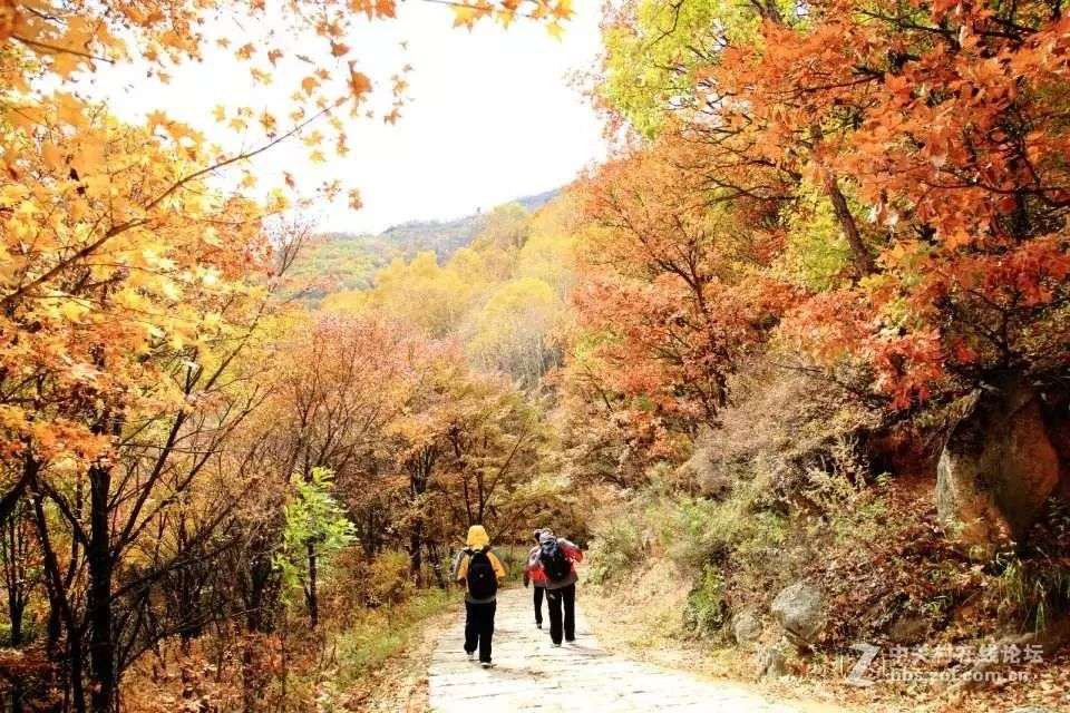 北京周边人少景美的红叶观赏地 只有去过才知道 知乎