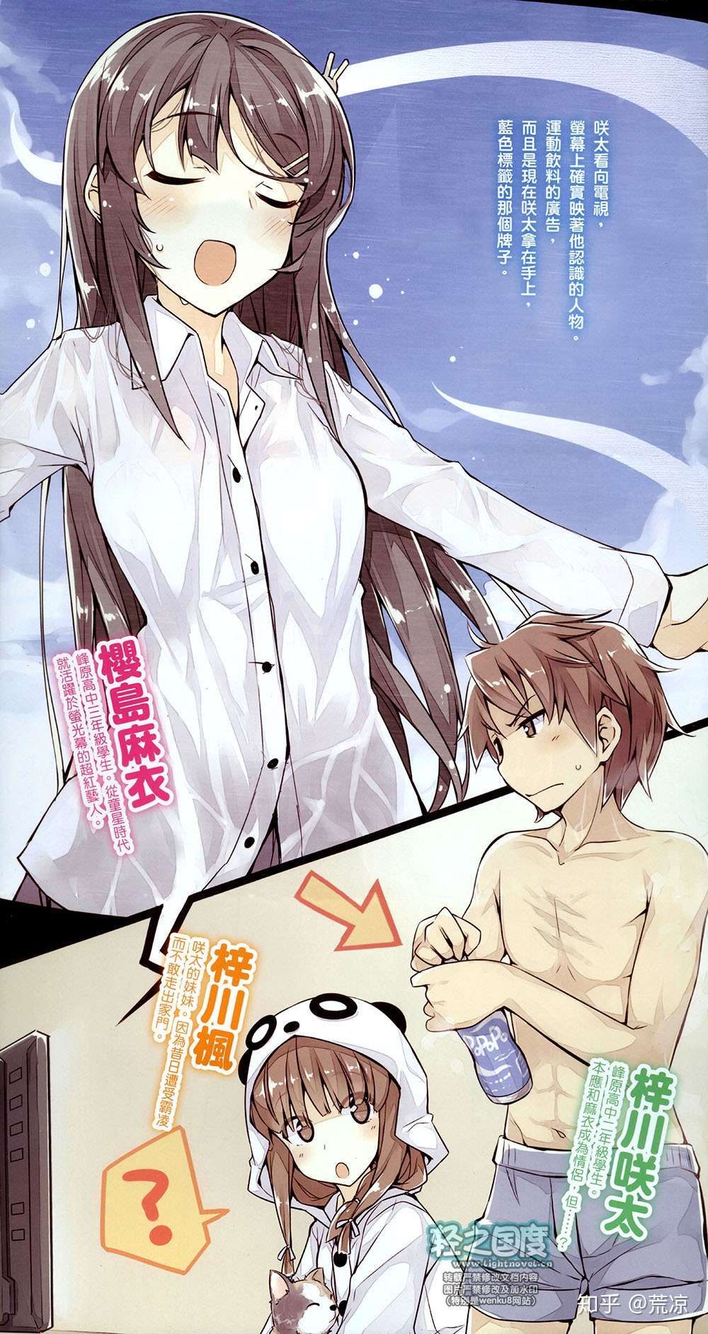 青春猪头少年不会梦到兔女郎学姐 Vol 2 知乎