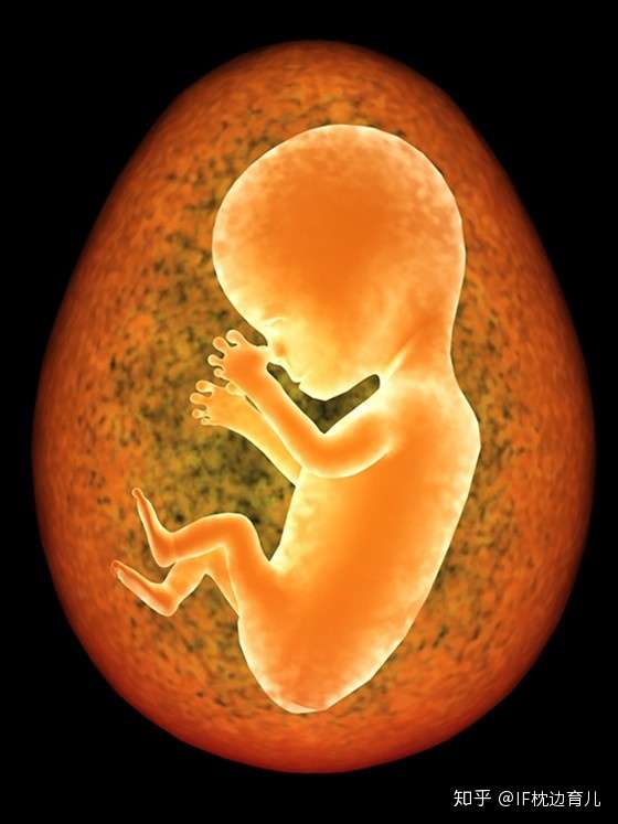 产检能听到胎心 但孕妇感觉不到 正常吗 育婴师给孕妈咪宽宽心 知乎