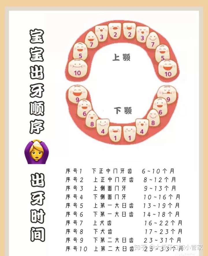 乳牙生长时间 顺序图图片