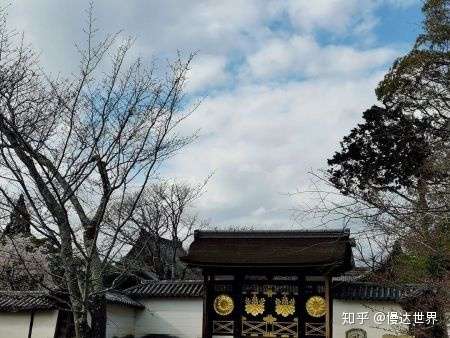 日本京都醍醐寺的樱花 到底有多美 微爱订制旅行 知乎