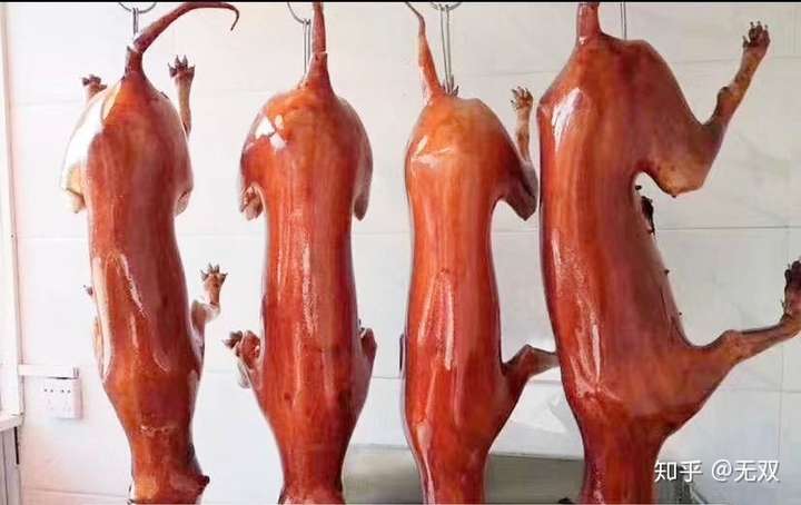 从爱狗到讨厌自己的狗该怎么办