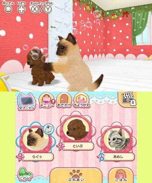 猫之日撸猫没过瘾 来游戏里云吸猫 知乎