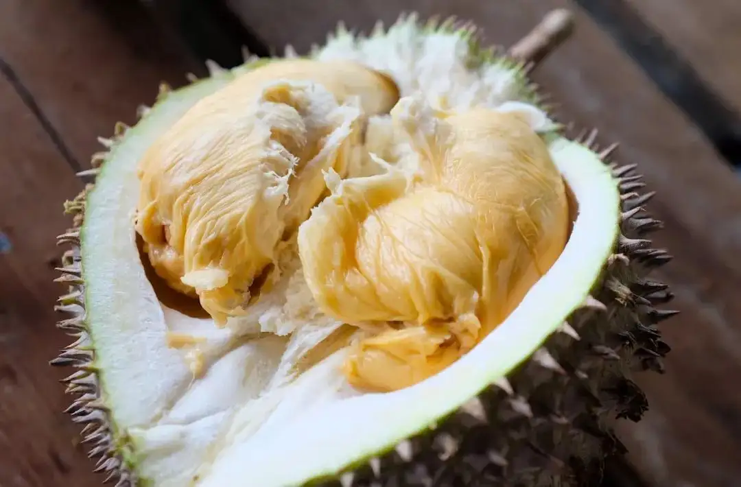 榴莲庄园的果树下 我才知道什么是梦幻般的滋味 知乎