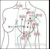 做一次胸可以通九條經絡108個穴位