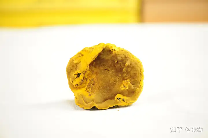 常见桑黄品种及市场价格（副图片）（桑黄有多少种颜色）