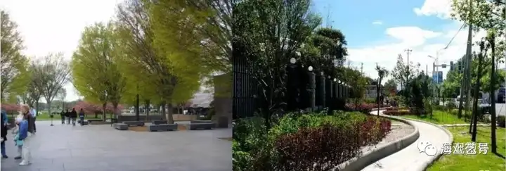 详解|城市道路绿地景观设计