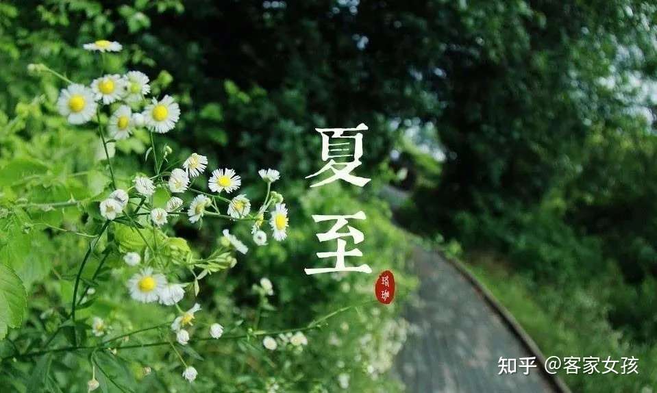 夏至 最耗元气的15天 要以静为养 避免阳气耗散 知乎