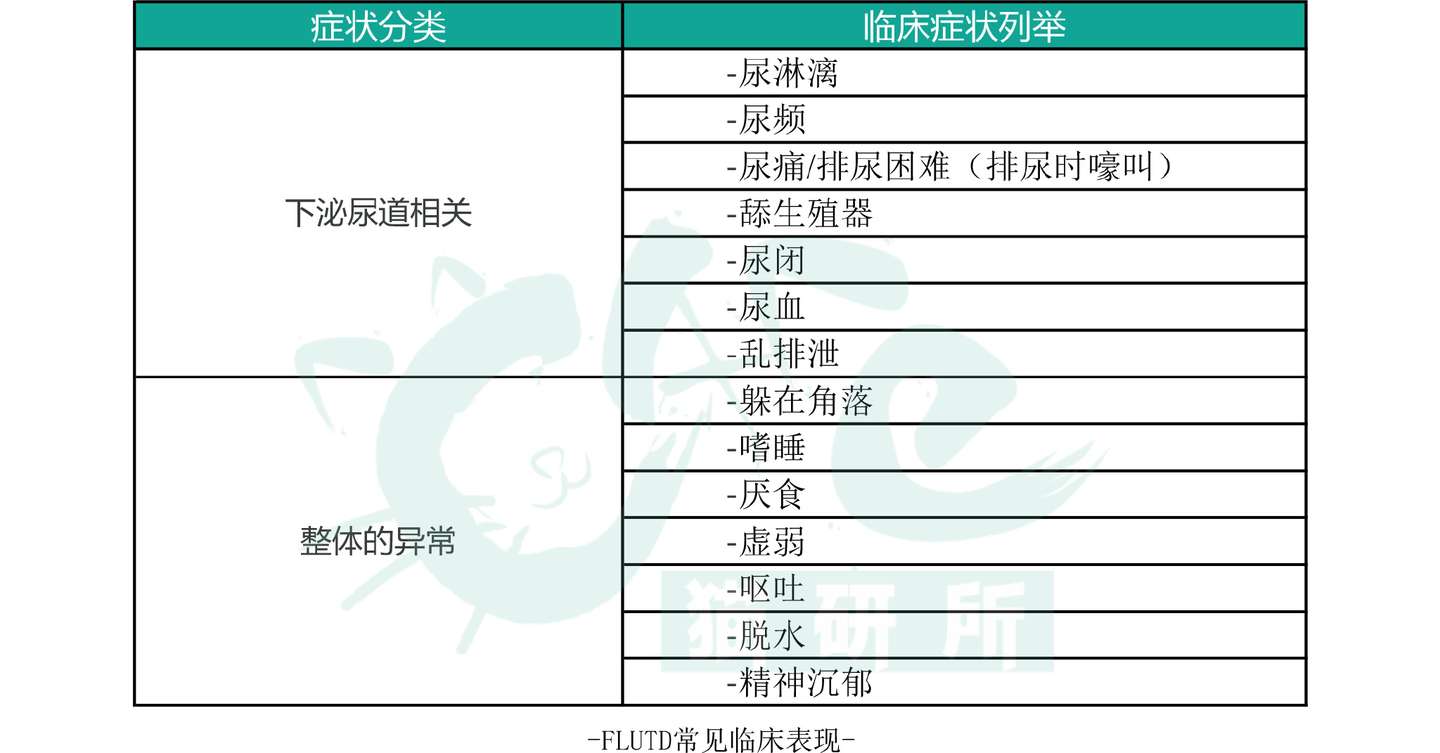 猫咪常见病系列之 猫自发性膀胱炎 诊断治疗篇 知乎
