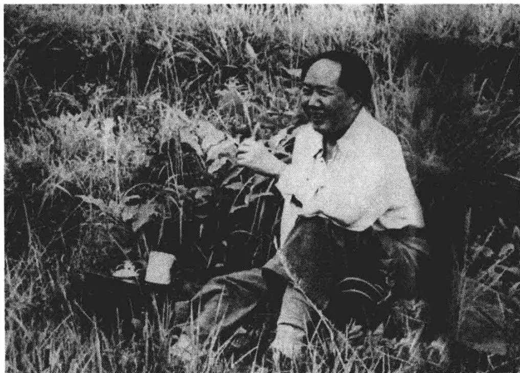 毛主席人生札记 02
