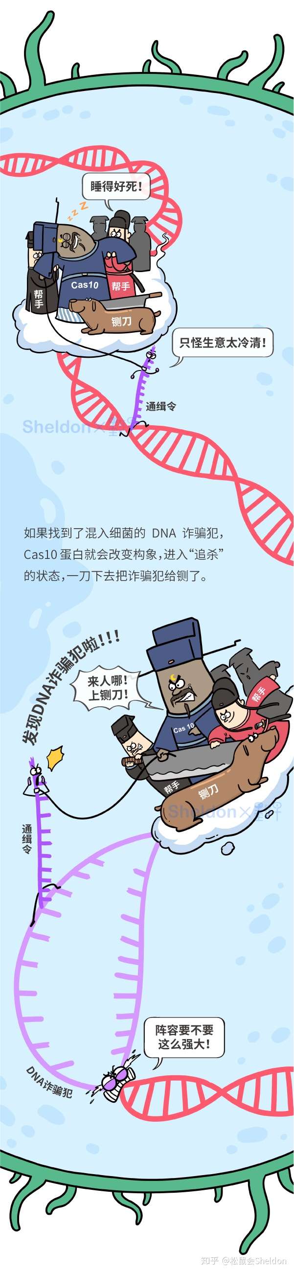 知乎专栏