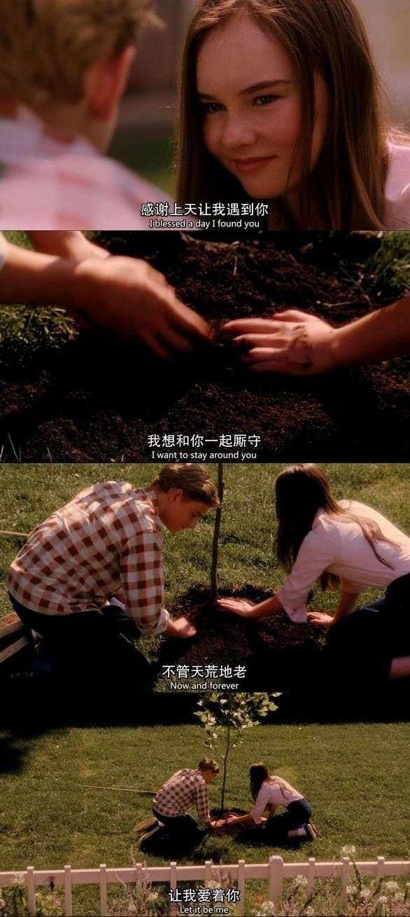 你有没有因为一句对白,而记住一部电影?