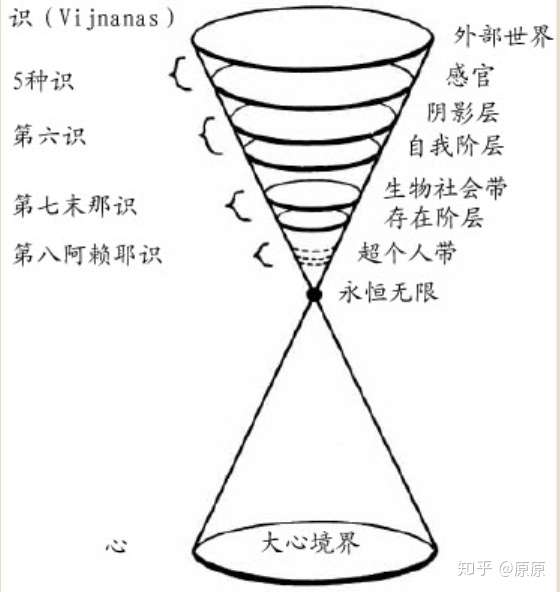 意识光谱意识的大统一场