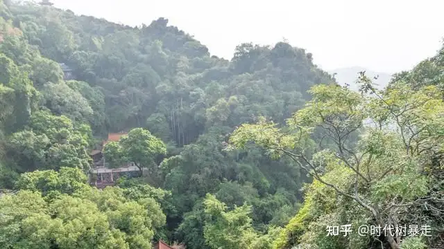 广西一座山因张馨予打卡成网红（广西65座大山被连夜炸平） 第4张