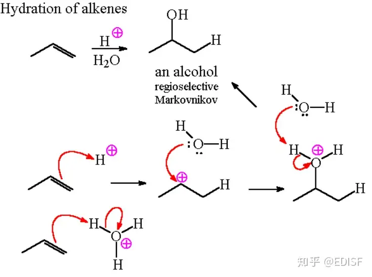 EDISF - 知乎