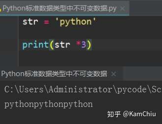 Python如何定义变量 不可变数据 数字 字符串 元组详解 知乎