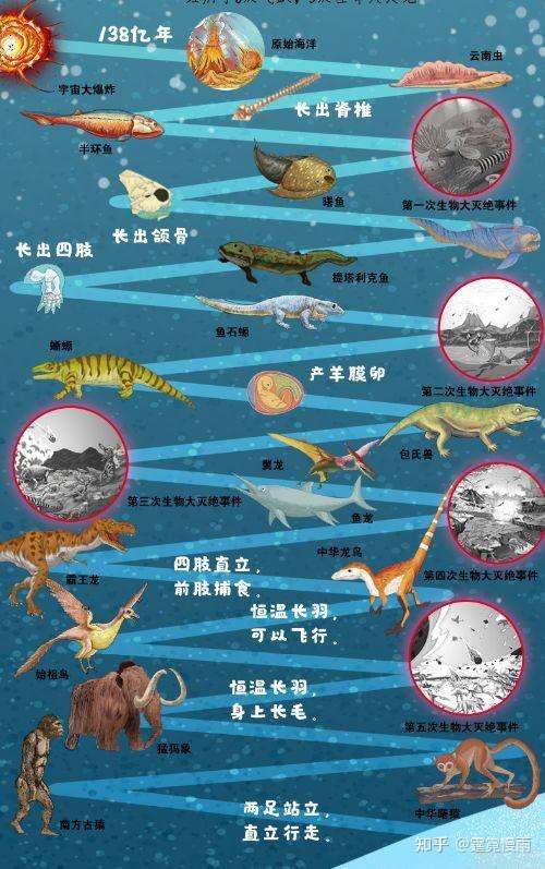生物化学路线:"与地球类似"=出生点在某颗岩石星球,有大气层,有液态水