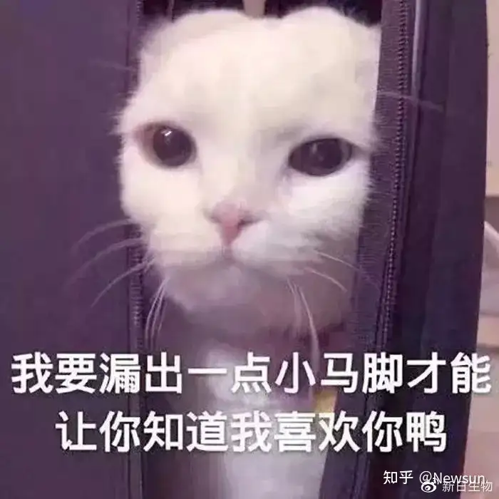 100句520文案，很甜，也很走心！