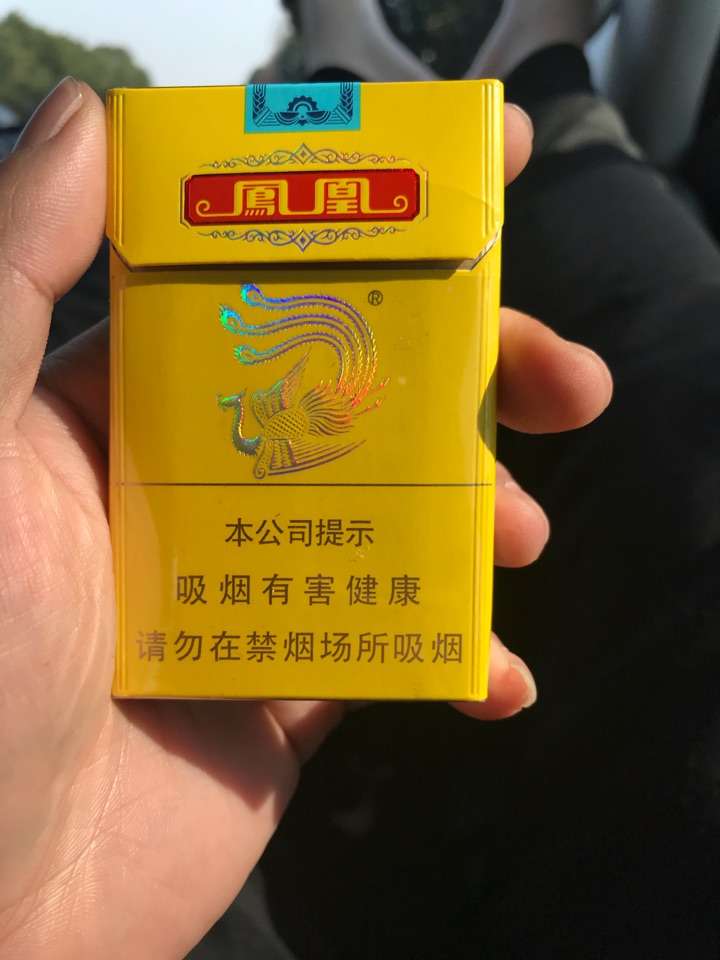 凤凰真的存在么有人目击过么