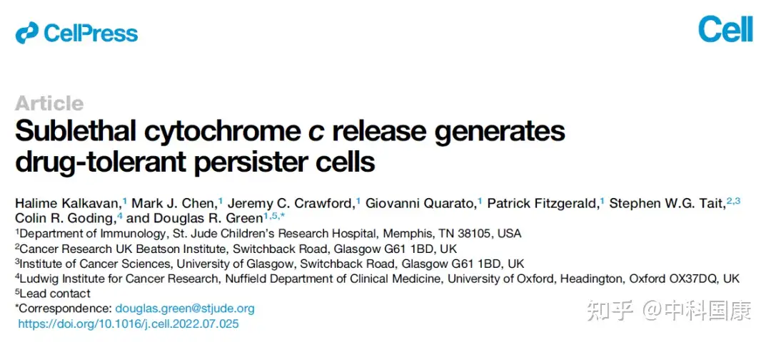 那些杀不死你的 会让你更强大 癌细胞亦如是 知乎