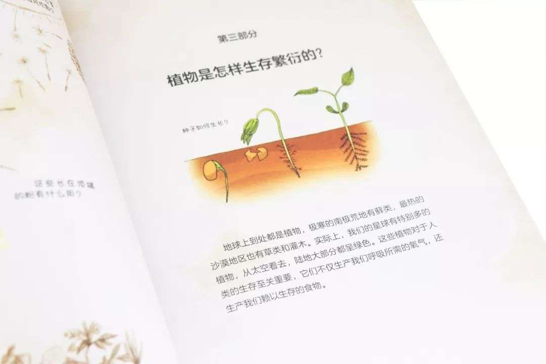 最强大脑 小选手揭秘 这种底层思维 孩子越早拥有越好 知乎