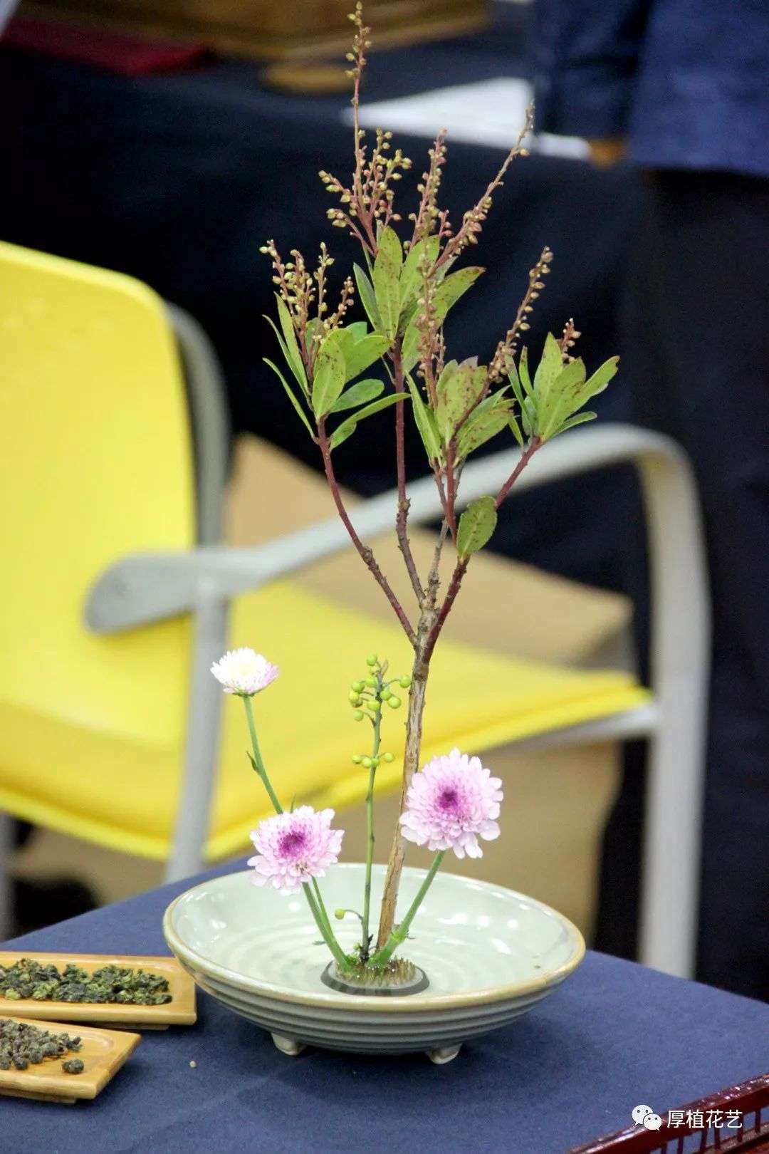 工会活动 三 茶道体验香在口中静在心里 知乎