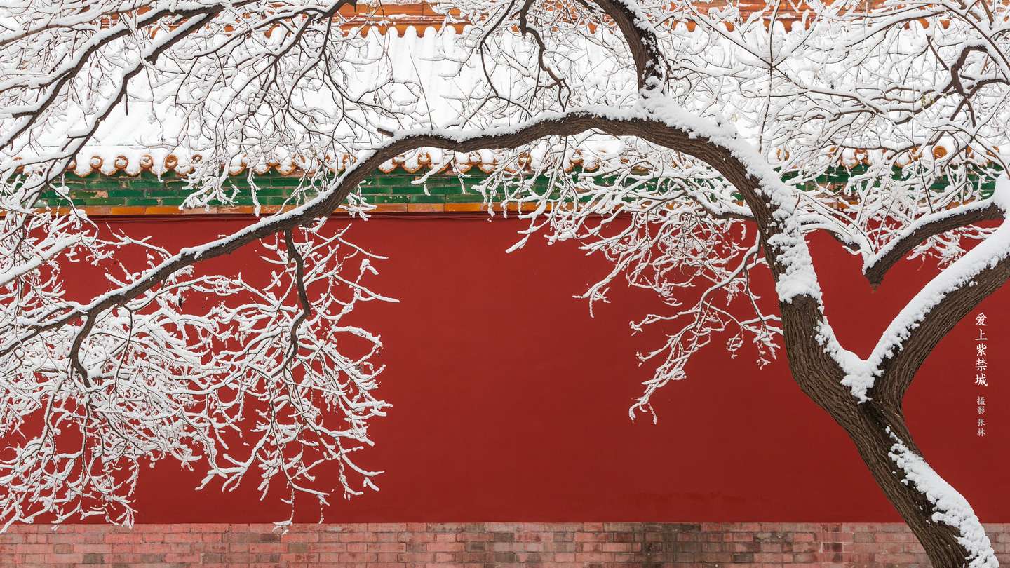 关于故宫的高清壁纸 令人惊艳的红色 知乎
