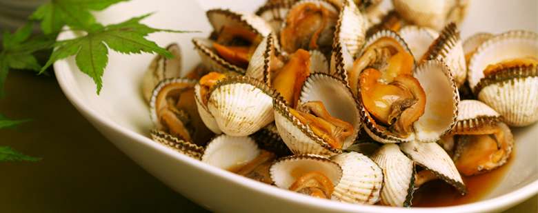 万事俱贝 在日本你可能会吃到的26种双壳贝 知乎