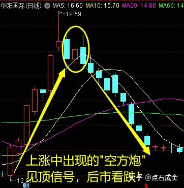 空方炮形态图片