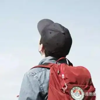 双胞胎真的有心灵感应吗？