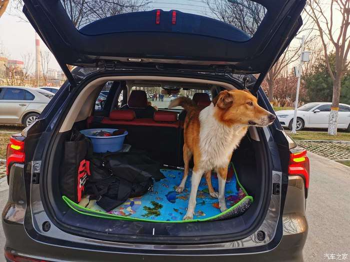 以车会友 聊聊长安cs75 Plus半年来的使用情况 知乎