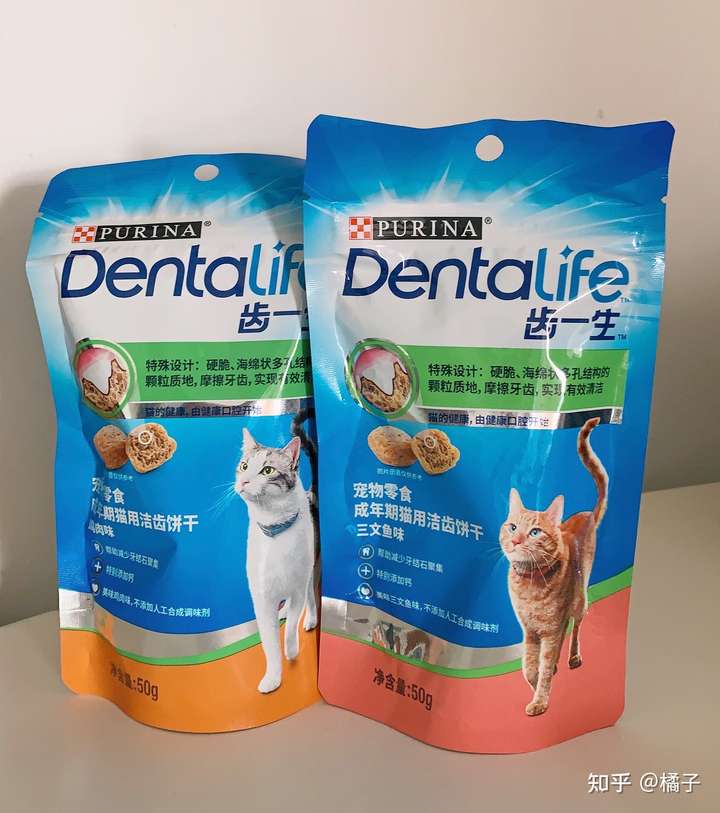 新手开始养猫要注意些什么 知乎 新手开始养猫要注意些什么 知乎
