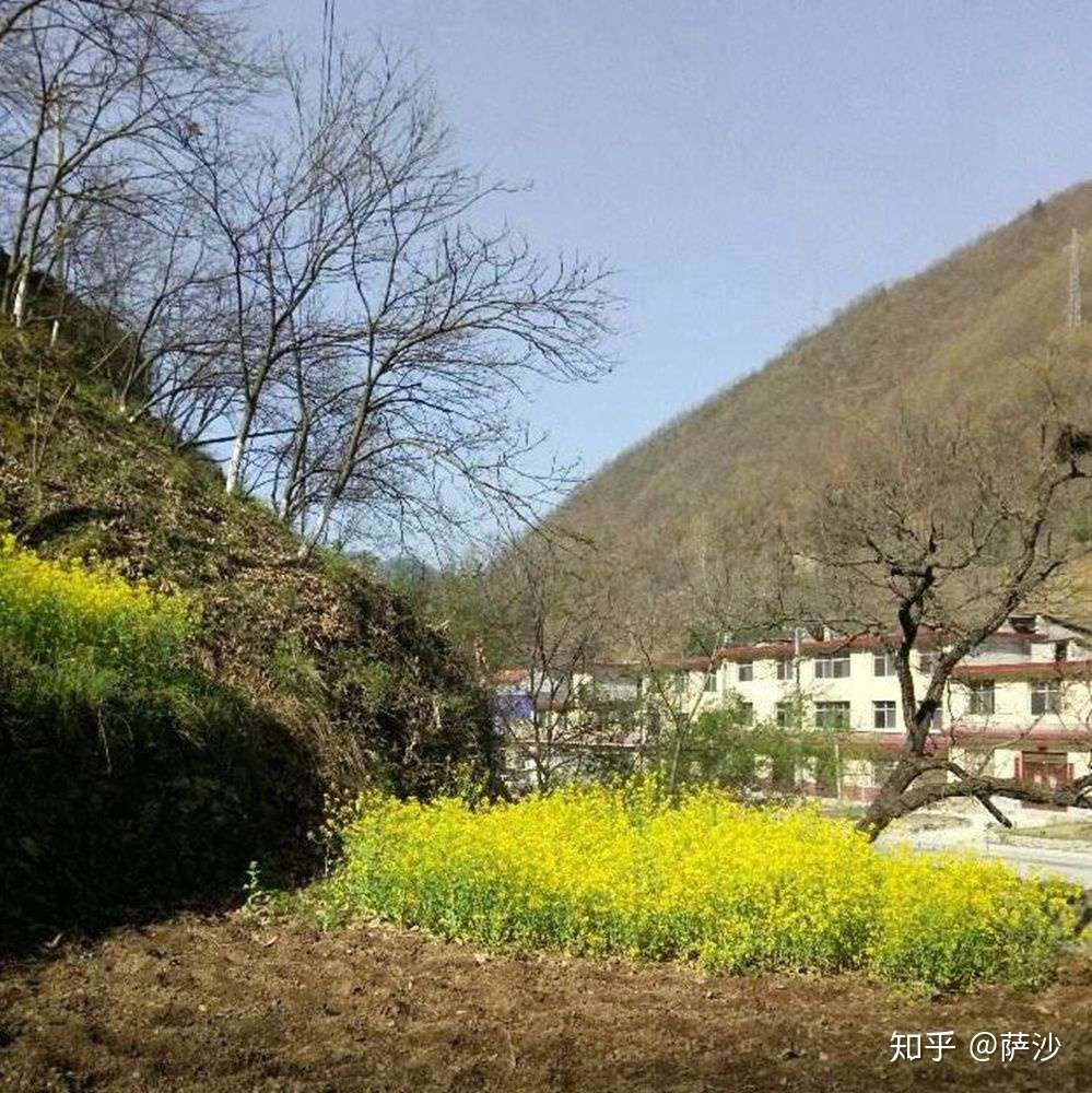 一夜8人被杀 美女主妇人头被砍下丢弃 90年代山村特大灭门惨案 知乎