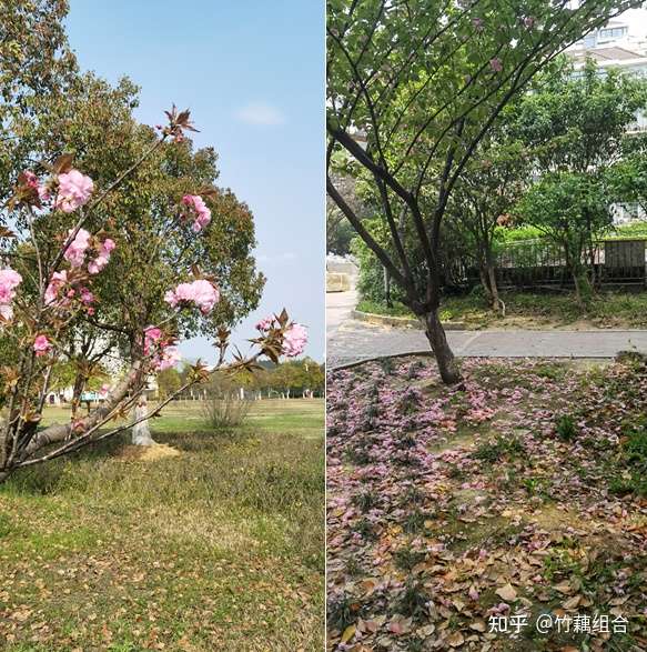 Xoyjq1kpzspb4m Xoyjq1kpzspb4m