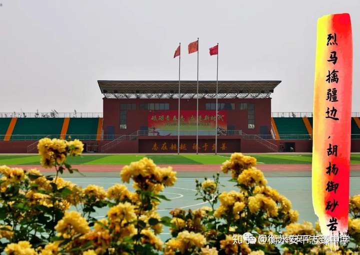 有一群孩子,他们的生活很写意 衡水安平志臻中学 在这里的每一个